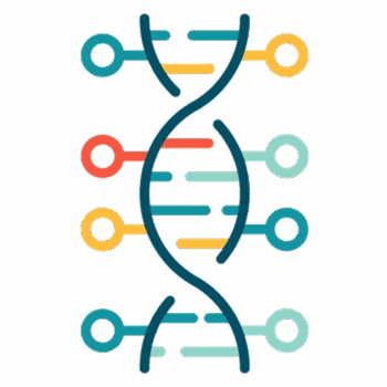 DNA nodes icon