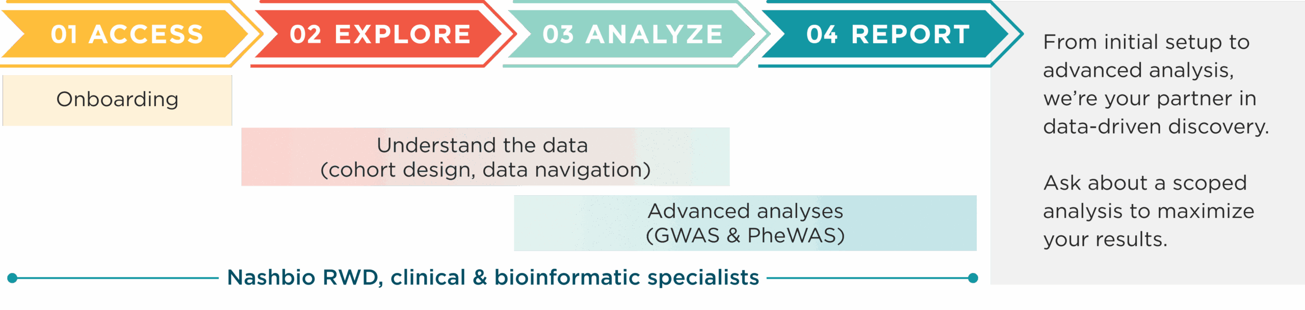 graphic visualizing access, explore, analyze, report stages